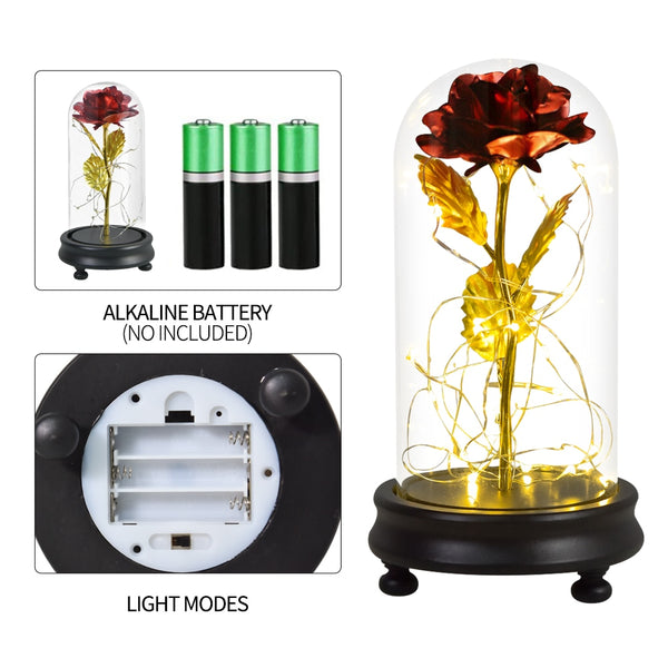 Rose LED Lamp- Valentine's Day & Mother's Day- Many Colors