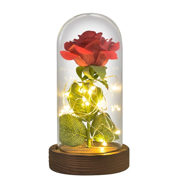 Rose LED Lamp- Valentine's Day & Mother's Day- Many Colors